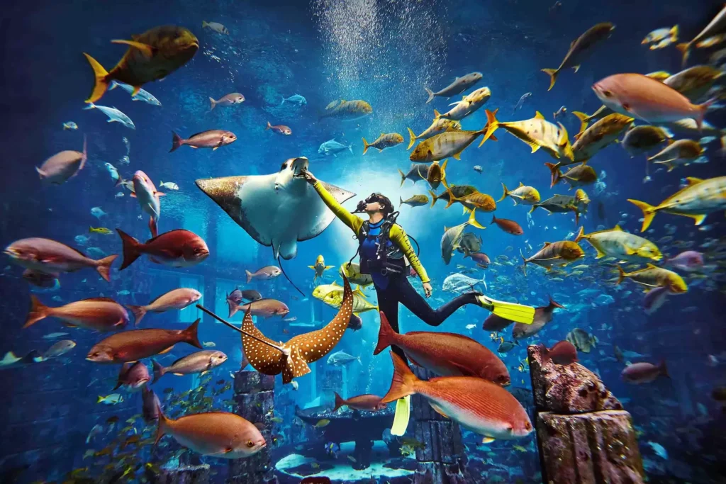 Scuba Diving Experience