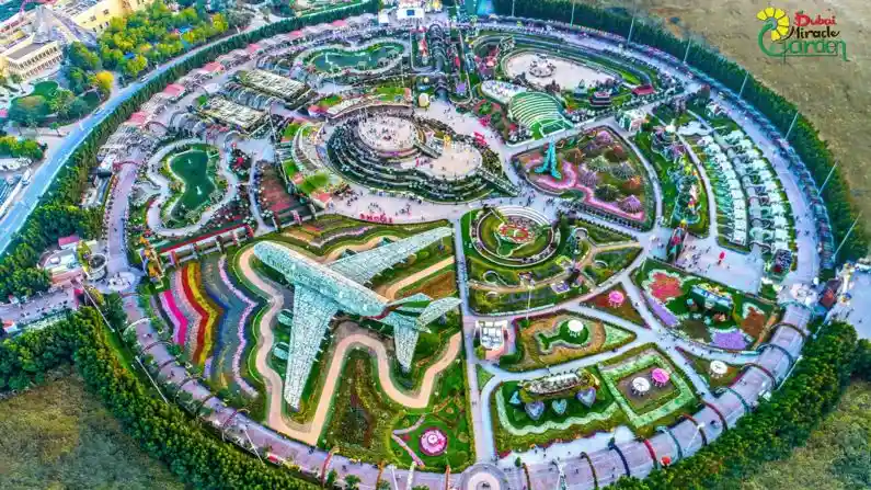 Dubai Miracle Garden Thumbnail 2