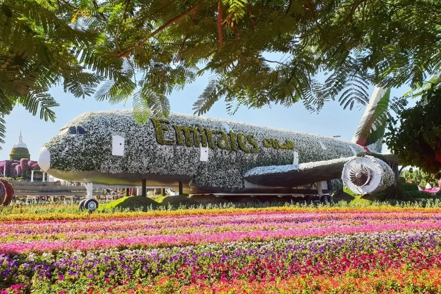 Dubai Miracle Garden Thumbnail 4
