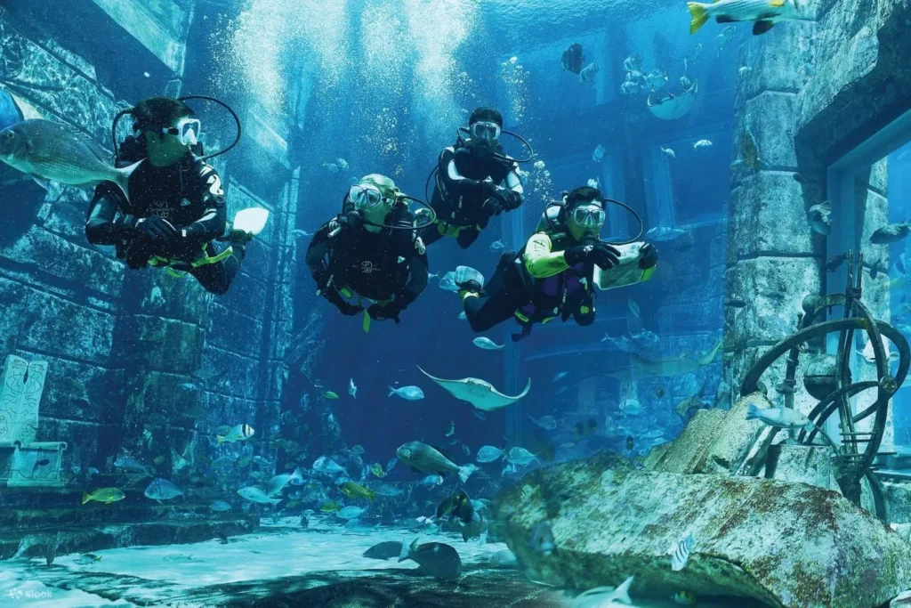 Scuba Diving Experience Thumbnail 4